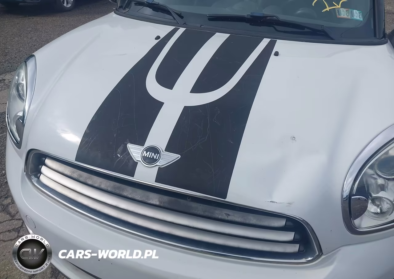 2011 Mini Cooper Countryman VIN:WMWZB3C58BWM01528 - 6