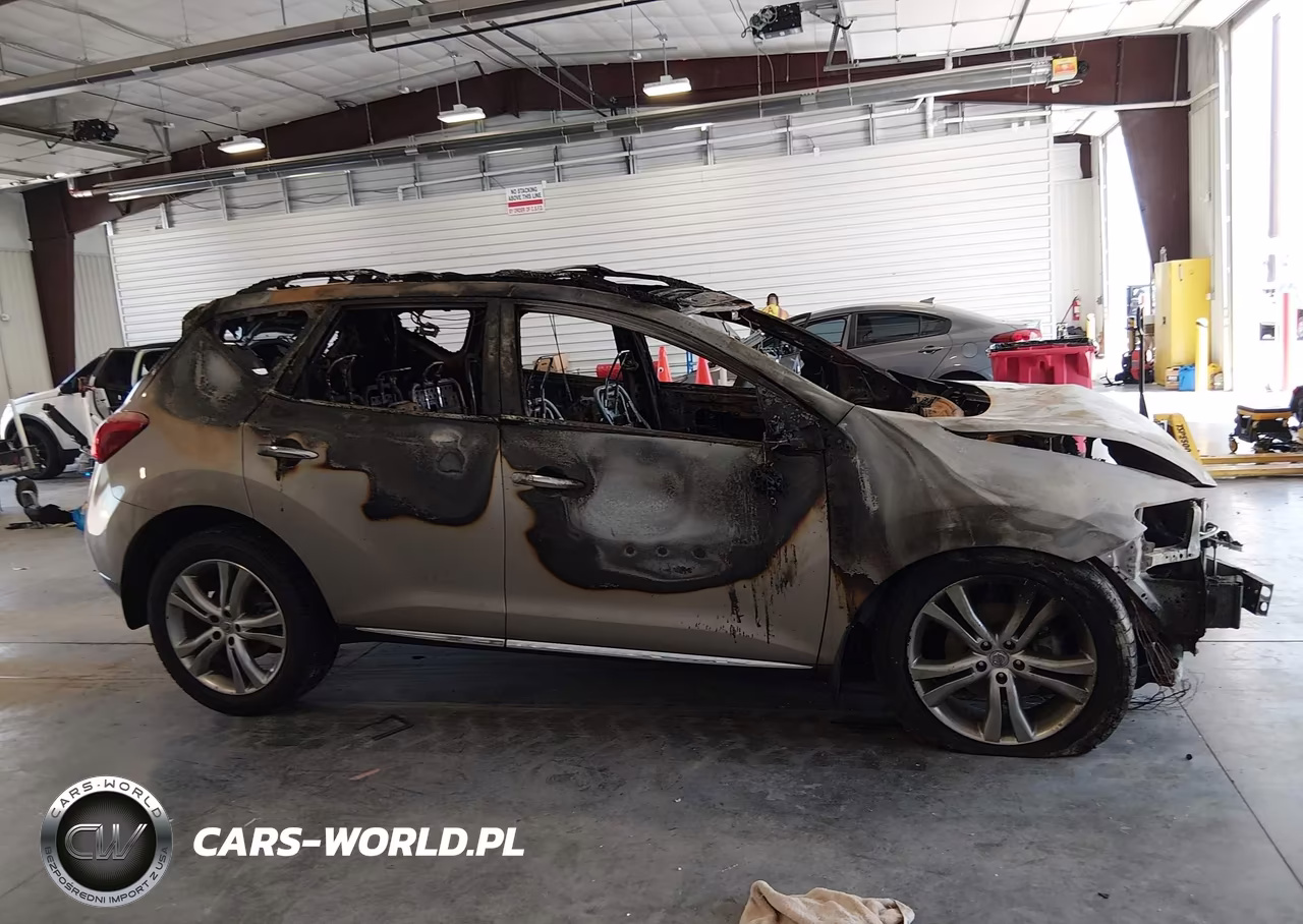 2010 Nissan Murano Le VIN:JN8AZ1MW4AW116335 - 12