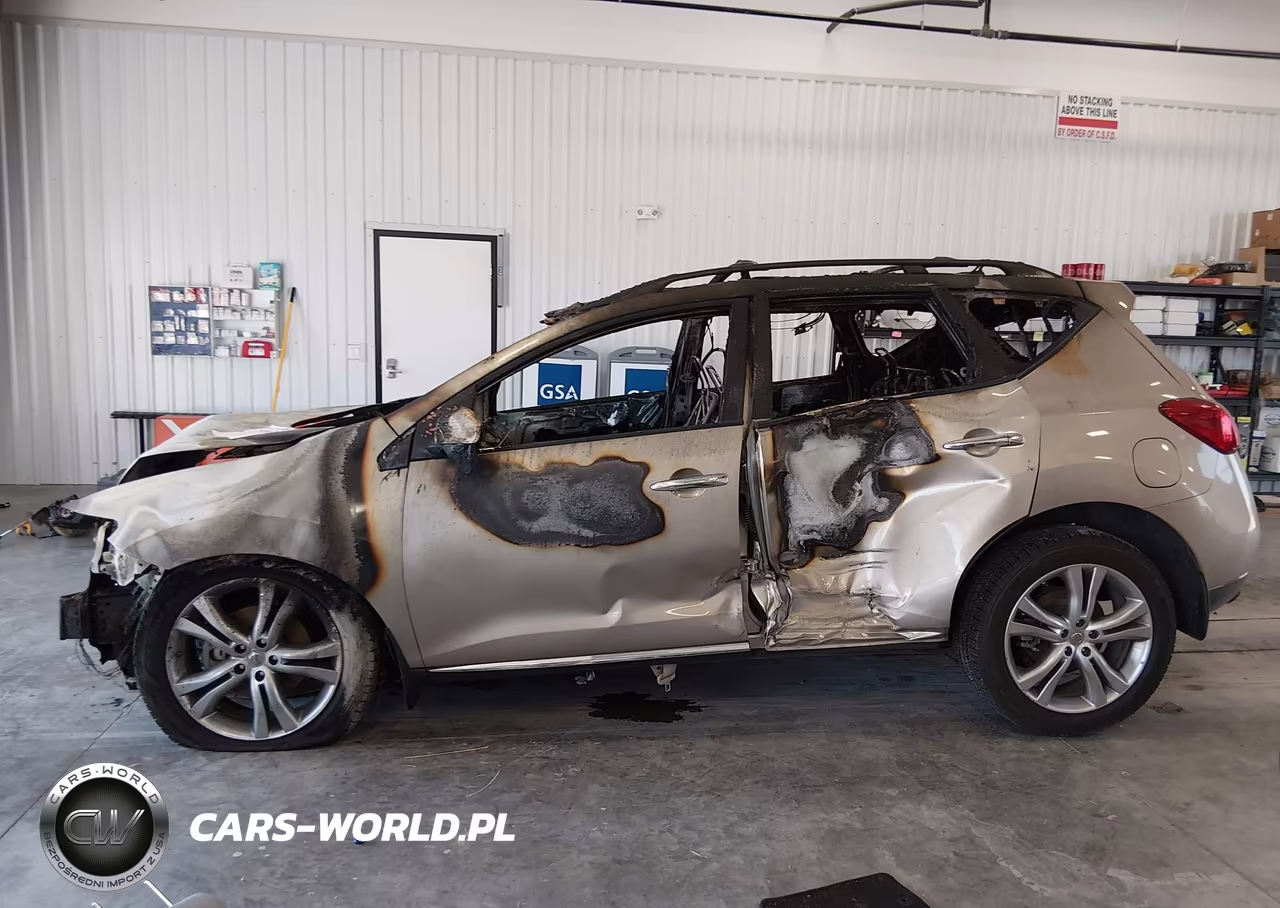 2010 Nissan Murano Le VIN:JN8AZ1MW4AW116335 - 13