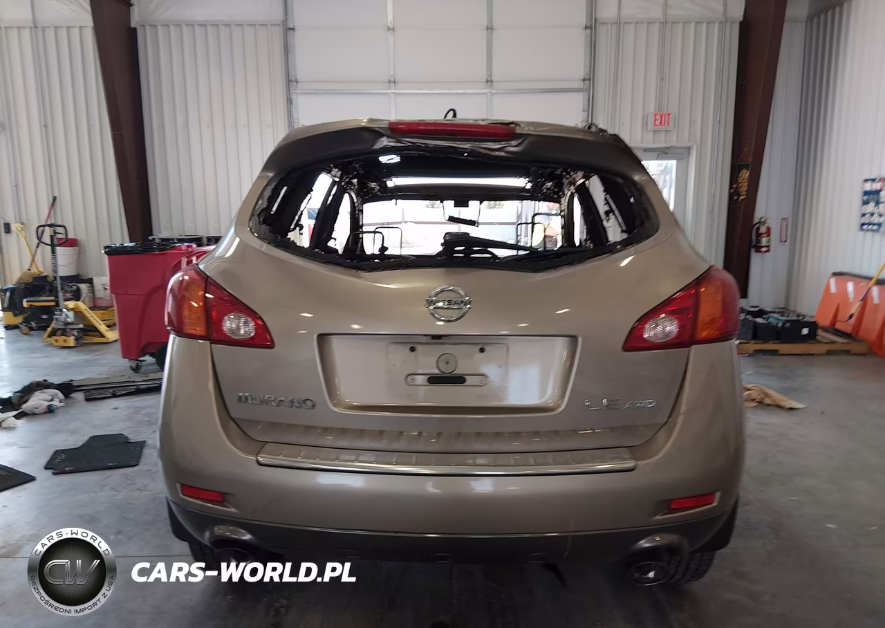 2010 Nissan Murano Le VIN:JN8AZ1MW4AW116335 - 15