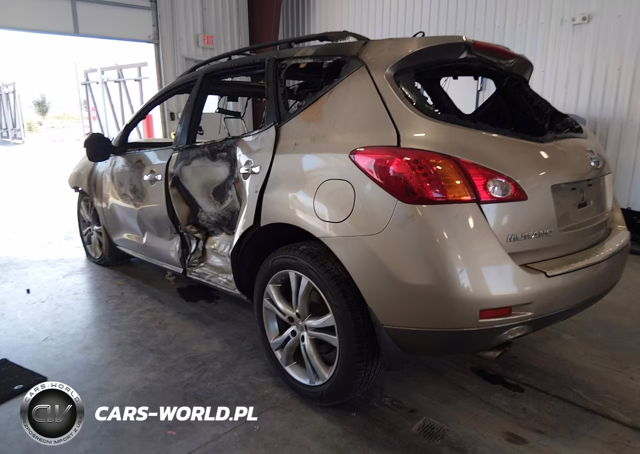 2010 Nissan Murano Le VIN:JN8AZ1MW4AW116335 - 3