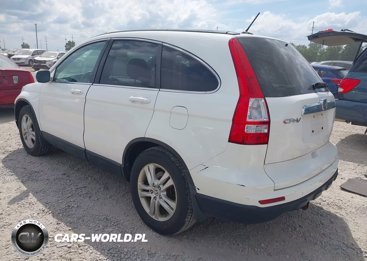 2010 Honda Cr-V Ex-L VIN:5J6RE4H77AL068968 - 3
