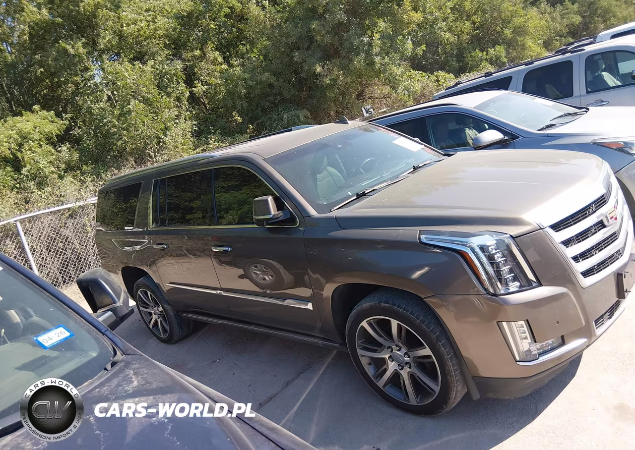 2015 Cadillac Escalade Esv Premium VIN:1GYS4TKJ1FR518380 - 13