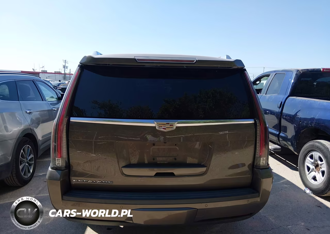 2015 Cadillac Escalade Esv Premium VIN:1GYS4TKJ1FR518380 - 16