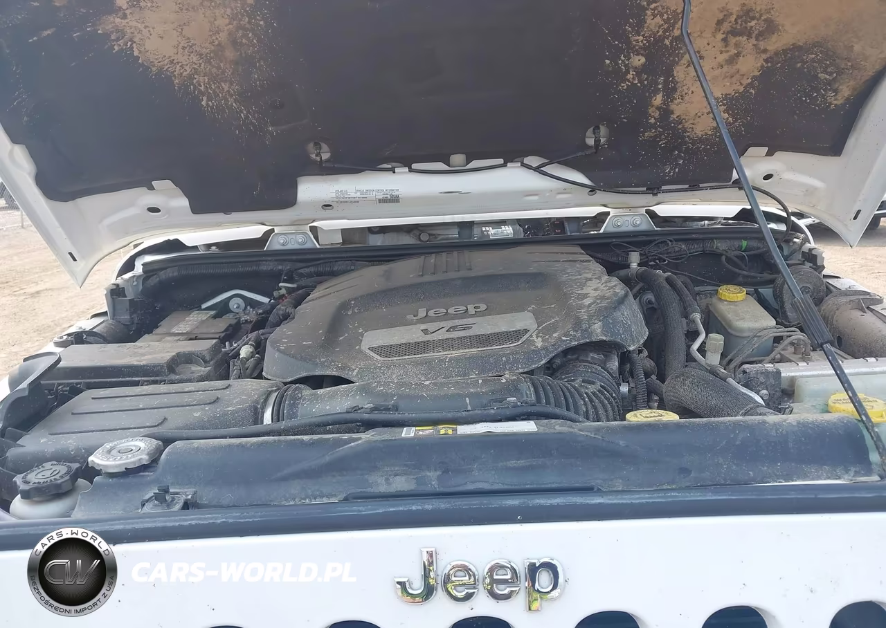 2016 Jeep Wrangler Rubicon VIN:1C4BJWCG6GL180465 - 10