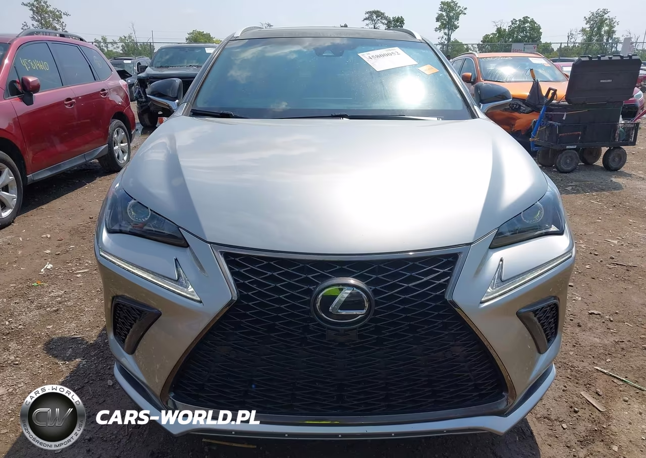 2019 Lexus Nx 300 F Sport VIN:JTJBARBZ7K2190177 - 12