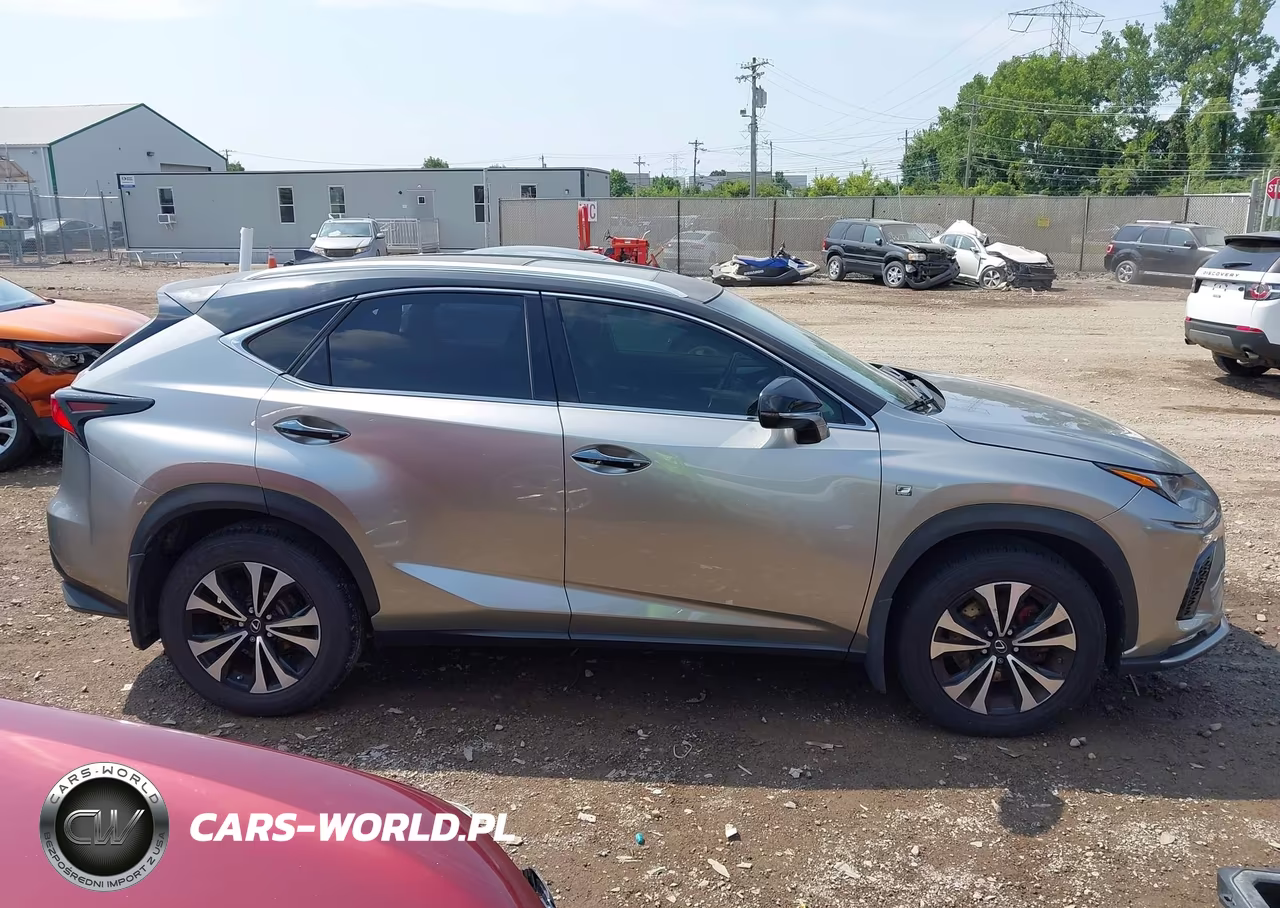 2019 Lexus Nx 300 F Sport VIN:JTJBARBZ7K2190177 - 13
