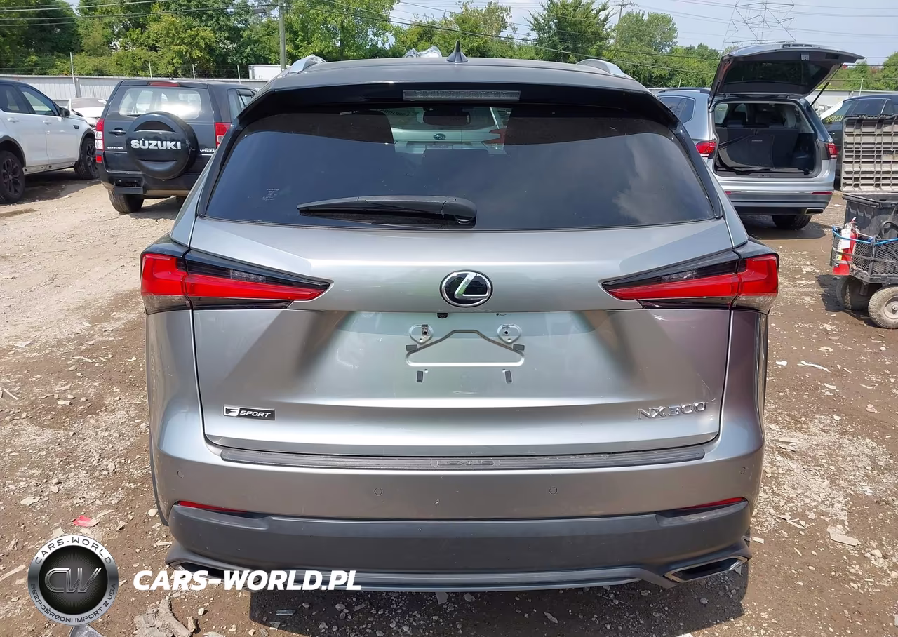2019 Lexus Nx 300 F Sport VIN:JTJBARBZ7K2190177 - 16