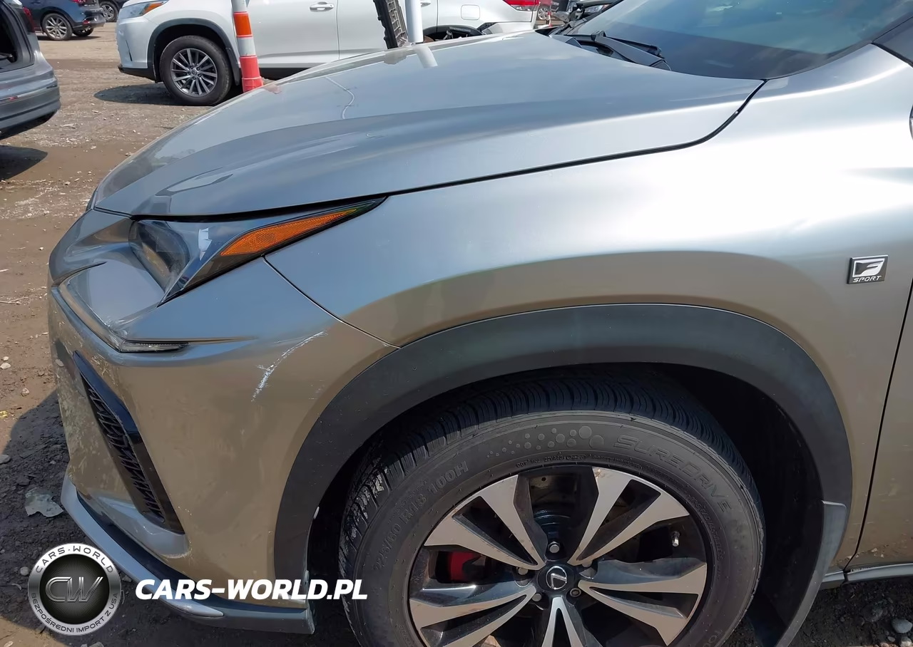 2019 Lexus Nx 300 F Sport VIN:JTJBARBZ7K2190177 - 17
