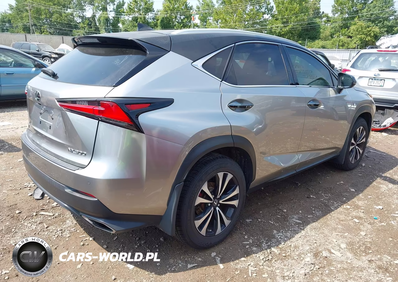 2019 Lexus Nx 300 F Sport VIN:JTJBARBZ7K2190177 - 4