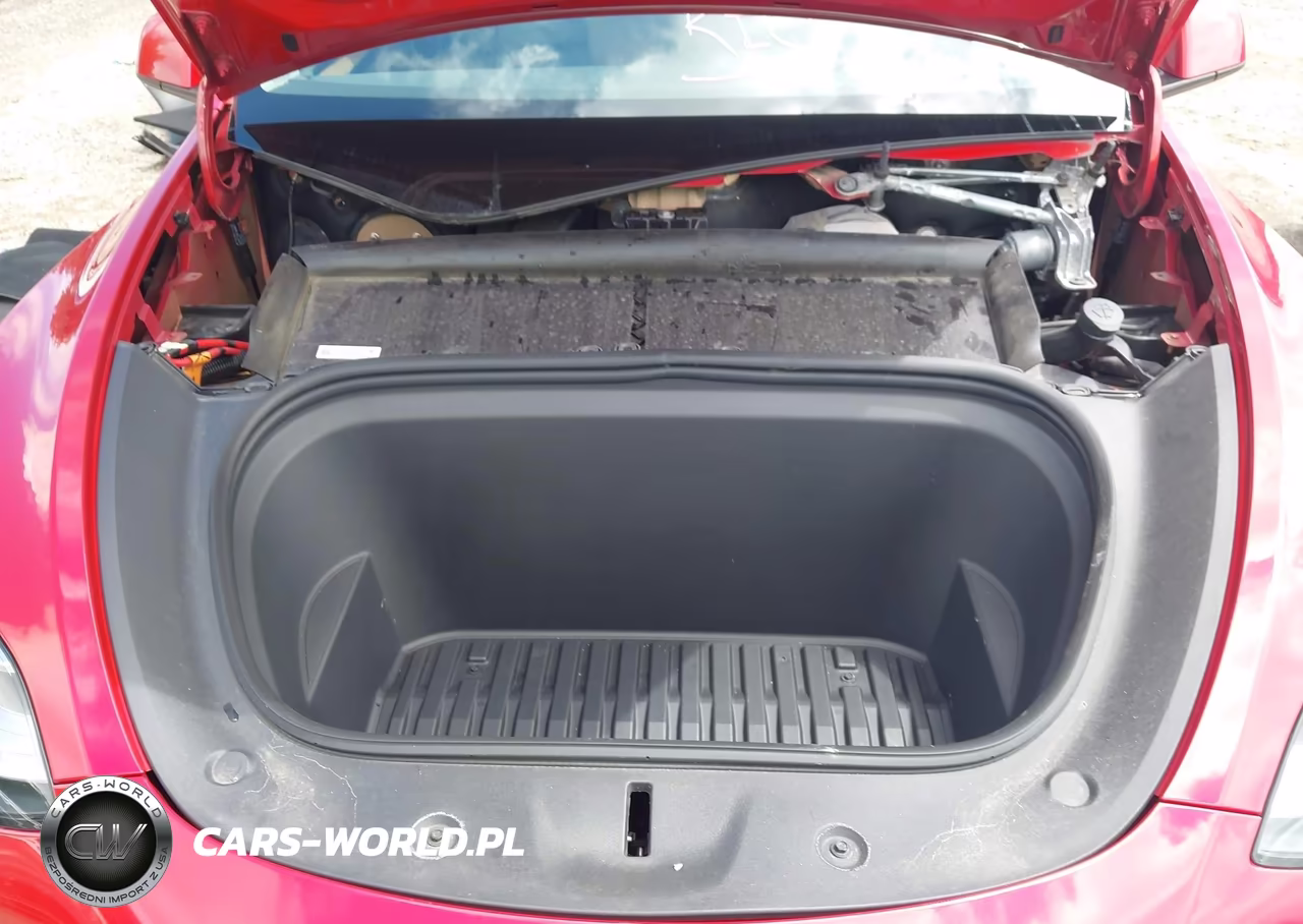 2023 Tesla Model Y Awd-Long Range Dual Motor All-Wheel Drive VIN:7SAYGDEE2PA030333 - 10