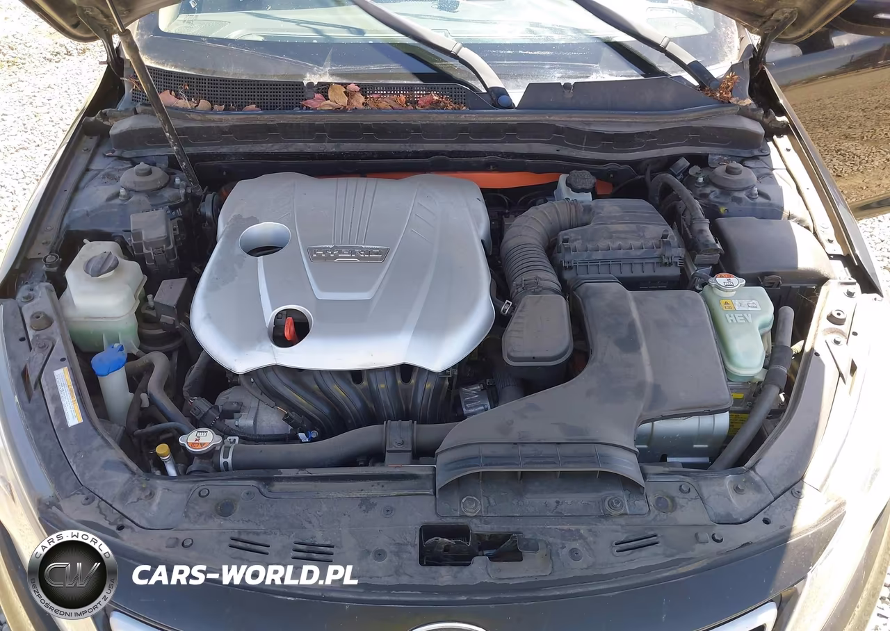 2012 Kia Optima Hybrid Ex VIN:KNAGM4AD3C5010828 - 10