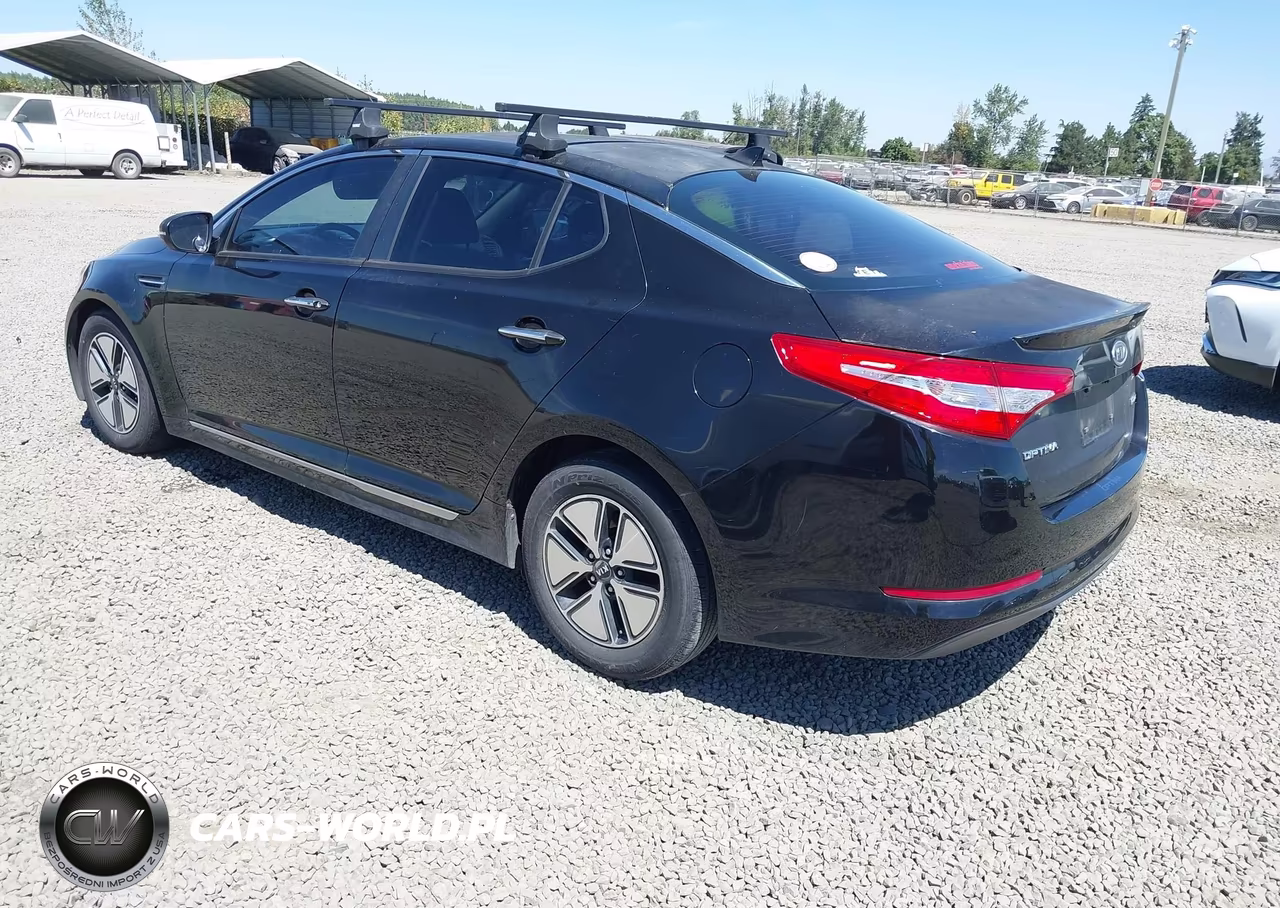 2012 Kia Optima Hybrid Ex VIN:KNAGM4AD3C5010828 - 3