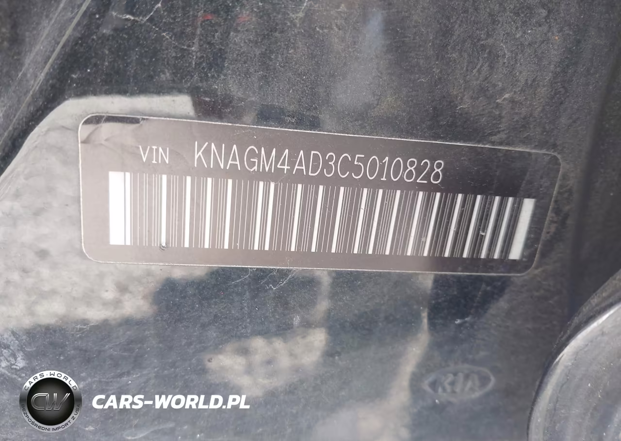 2012 Kia Optima Hybrid Ex VIN:KNAGM4AD3C5010828 - 9