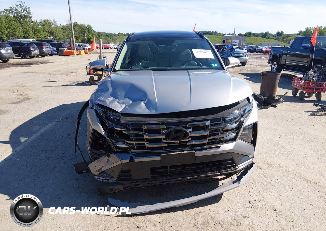 2025 Hyundai Tucson Hybrid Limited VIN:KM8JEDD10SU299139 - 12