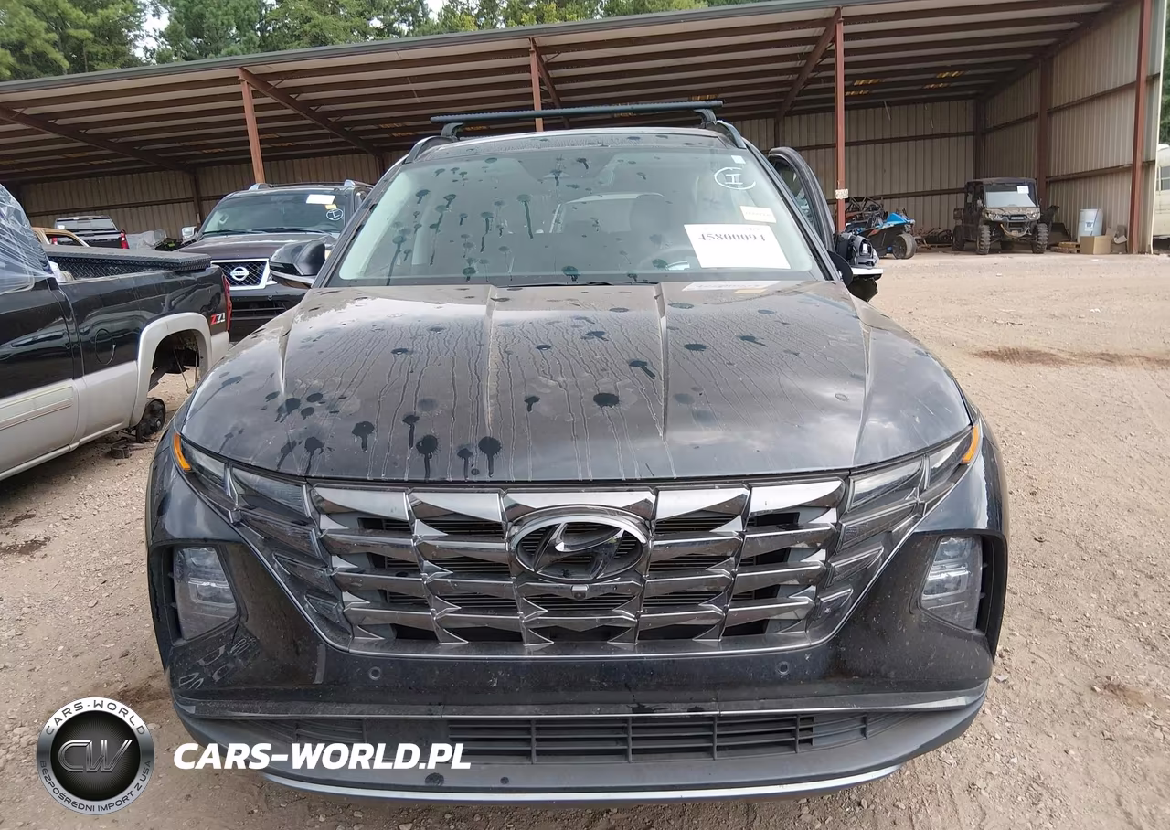 2023 Hyundai Tucson Limited VIN:5NMJE3AE0PH172072 - 12