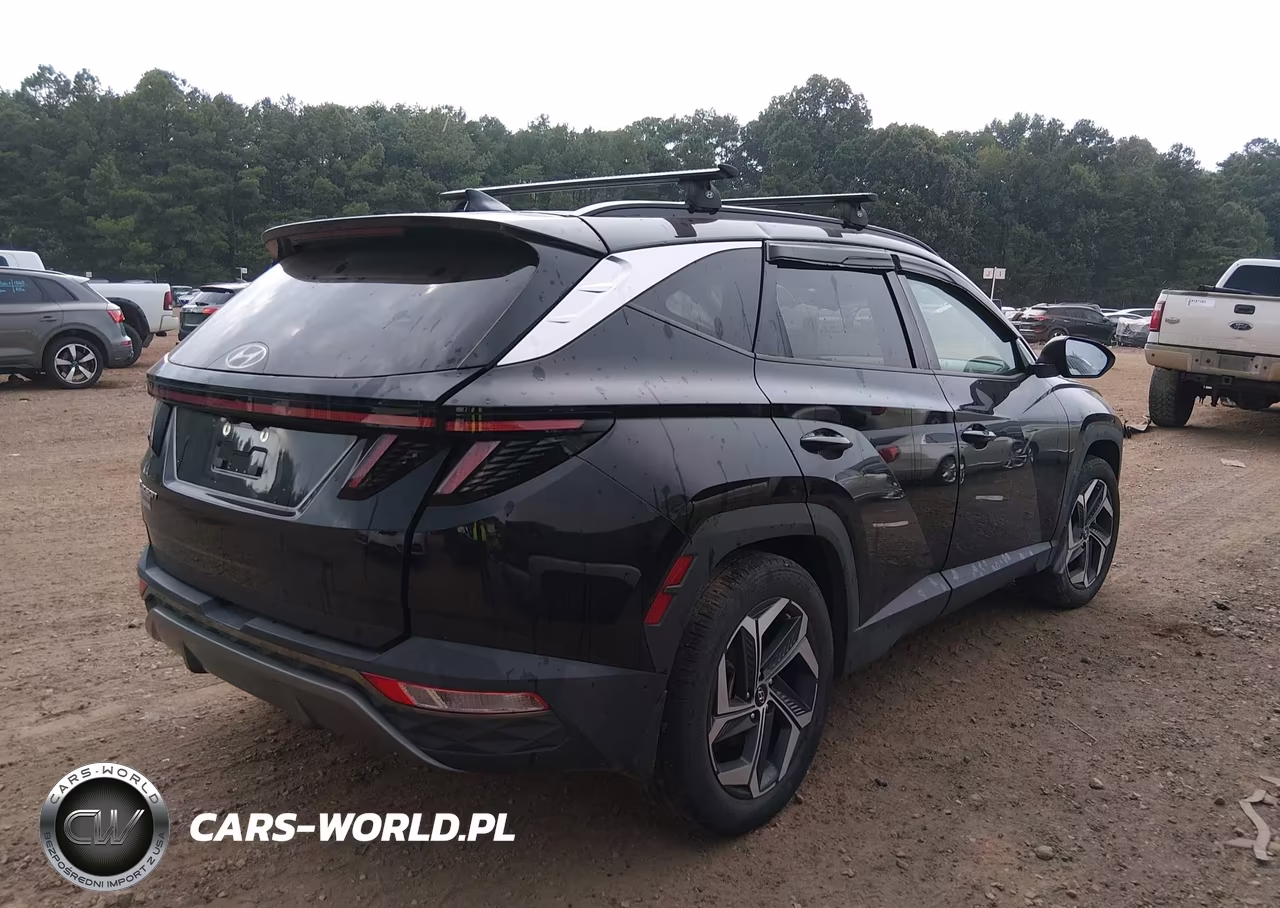 2023 Hyundai Tucson Limited VIN:5NMJE3AE0PH172072 - 4