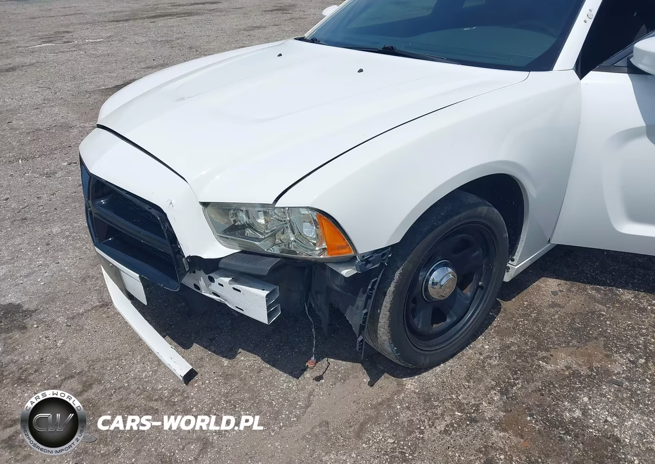 2014 Dodge Charger Police VIN:2C3CDXAGXEH220002 - 19