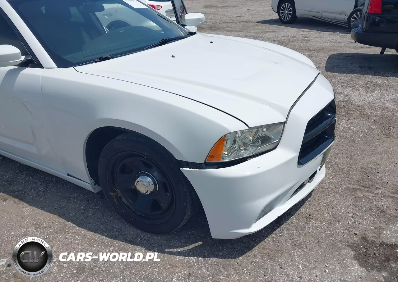 2014 Dodge Charger Police VIN:2C3CDXAGXEH220002 - 20