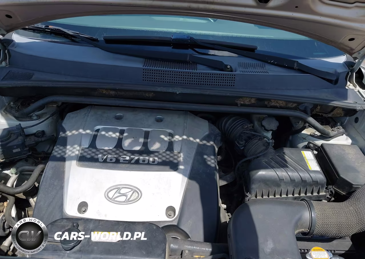 2005 Hyundai Tucson Gls-Lx VIN:KM8JN12D85U128994 - 10