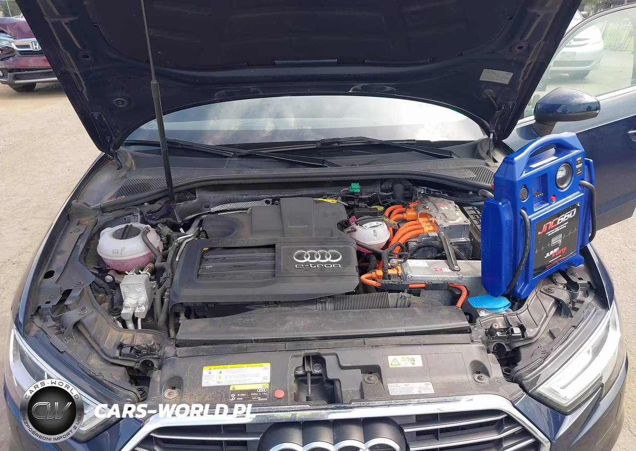 2017 Audi A3 Sportback E-Tron Premium Plus VIN:WAUTPBFF8HA074639 - 10