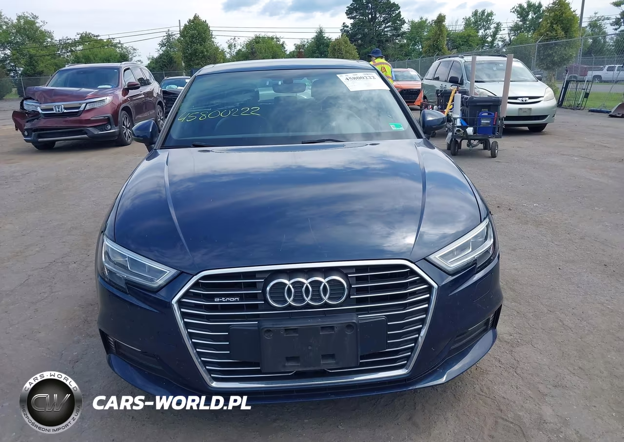 2017 Audi A3 Sportback E-Tron Premium Plus VIN:WAUTPBFF8HA074639 - 12