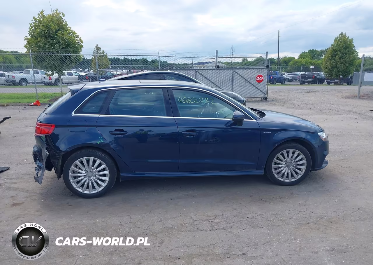 2017 Audi A3 Sportback E-Tron Premium Plus VIN:WAUTPBFF8HA074639 - 13