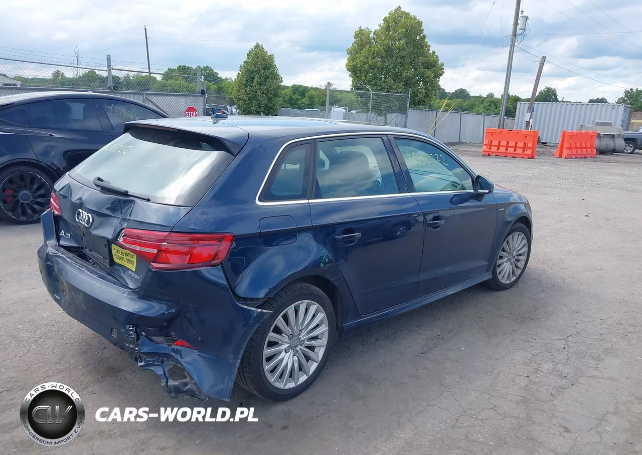2017 Audi A3 Sportback E-Tron Premium Plus VIN:WAUTPBFF8HA074639 - 4