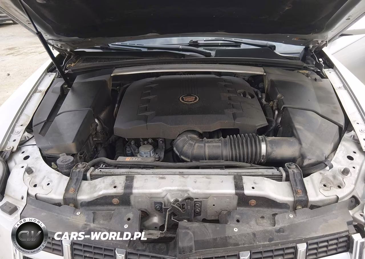 2013 Cadillac Cts Luxury VIN:1G6DE5E59D0144403 - 10