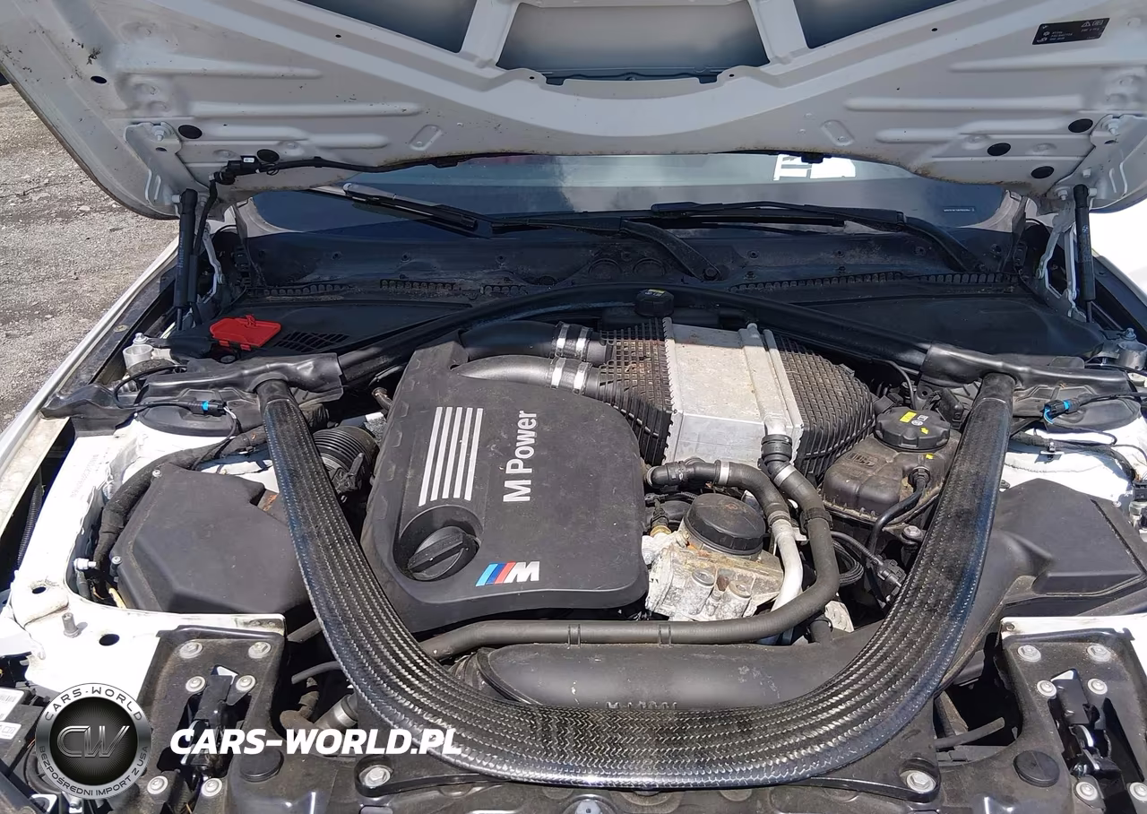 2015 BMW M4 VIN:WBS3U9C58FP967896 - 10