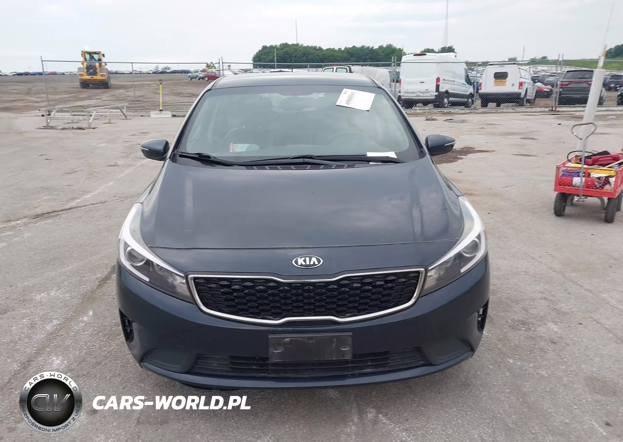 2018 Kia Forte Lx VIN:KNAFK5A8XJ5745099 - 12