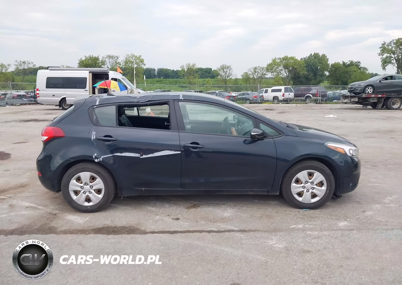 2018 Kia Forte Lx VIN:KNAFK5A8XJ5745099 - 13