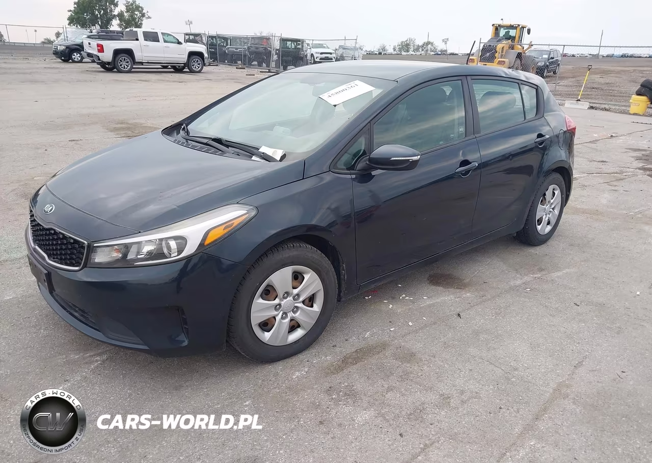 2018 Kia Forte Lx VIN:KNAFK5A8XJ5745099 - 2