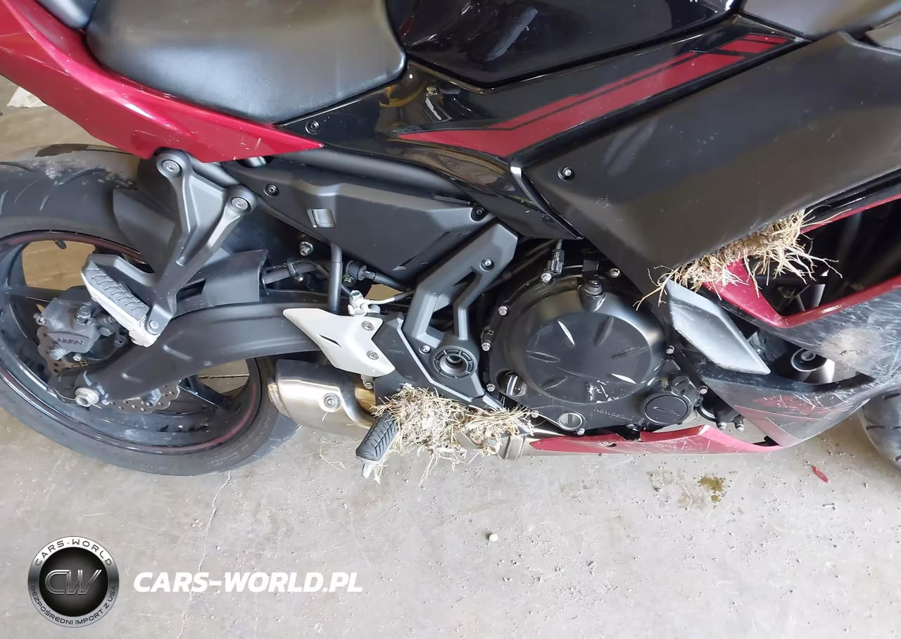 2021 Kawasaki Ex650 M VIN:ML5EXEM13MDA30896 - 17