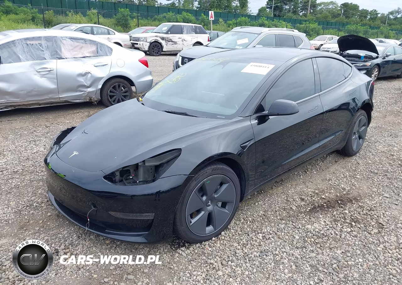 2023 Tesla Model 3 Rear-Wheel Drive VIN:5YJ3E1EA9PF396480 - 2
