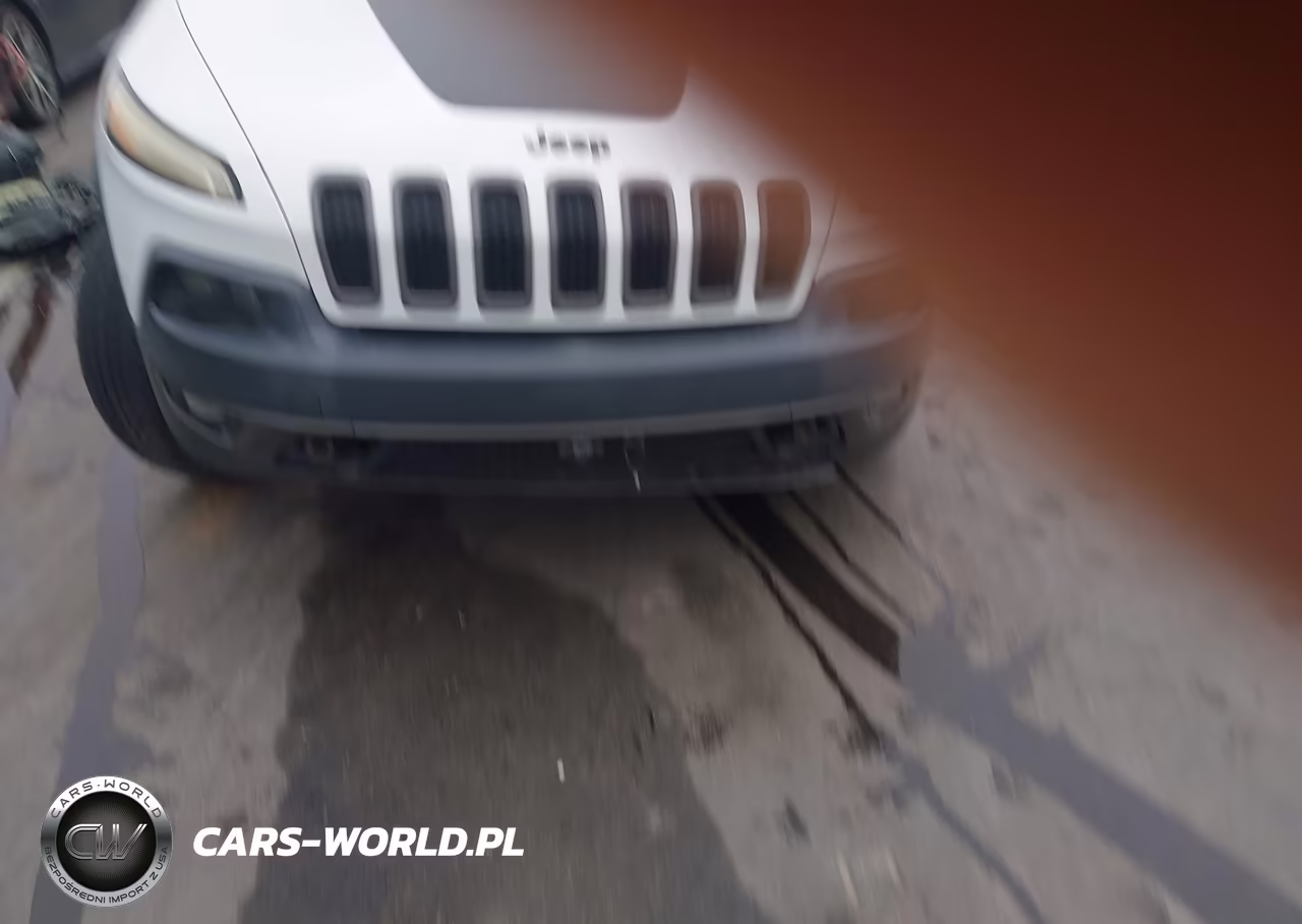 2016 Jeep Cherokee Trailhawk VIN:1C4PJMBS6GW156813 - 12