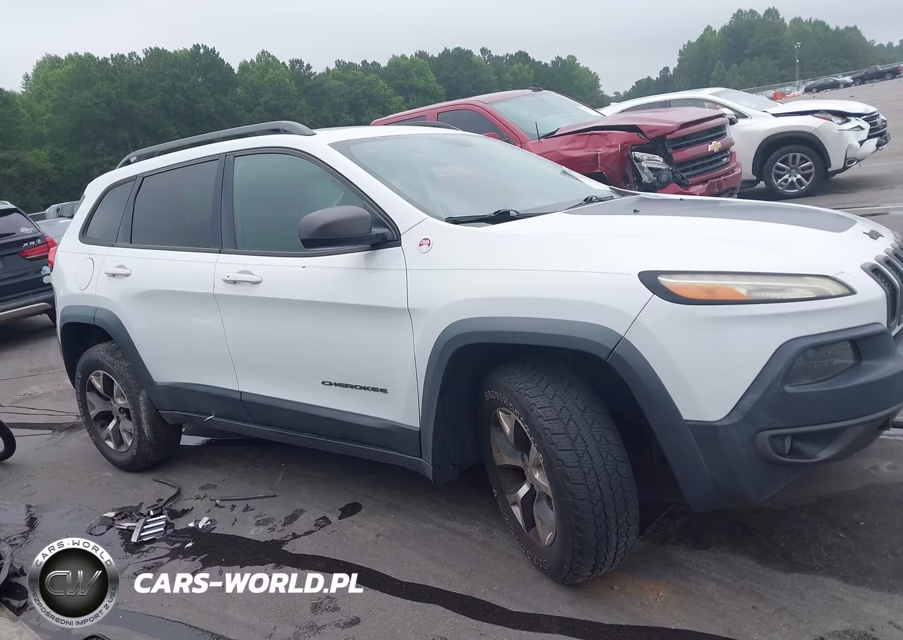 2016 Jeep Cherokee Trailhawk VIN:1C4PJMBS6GW156813 - 13