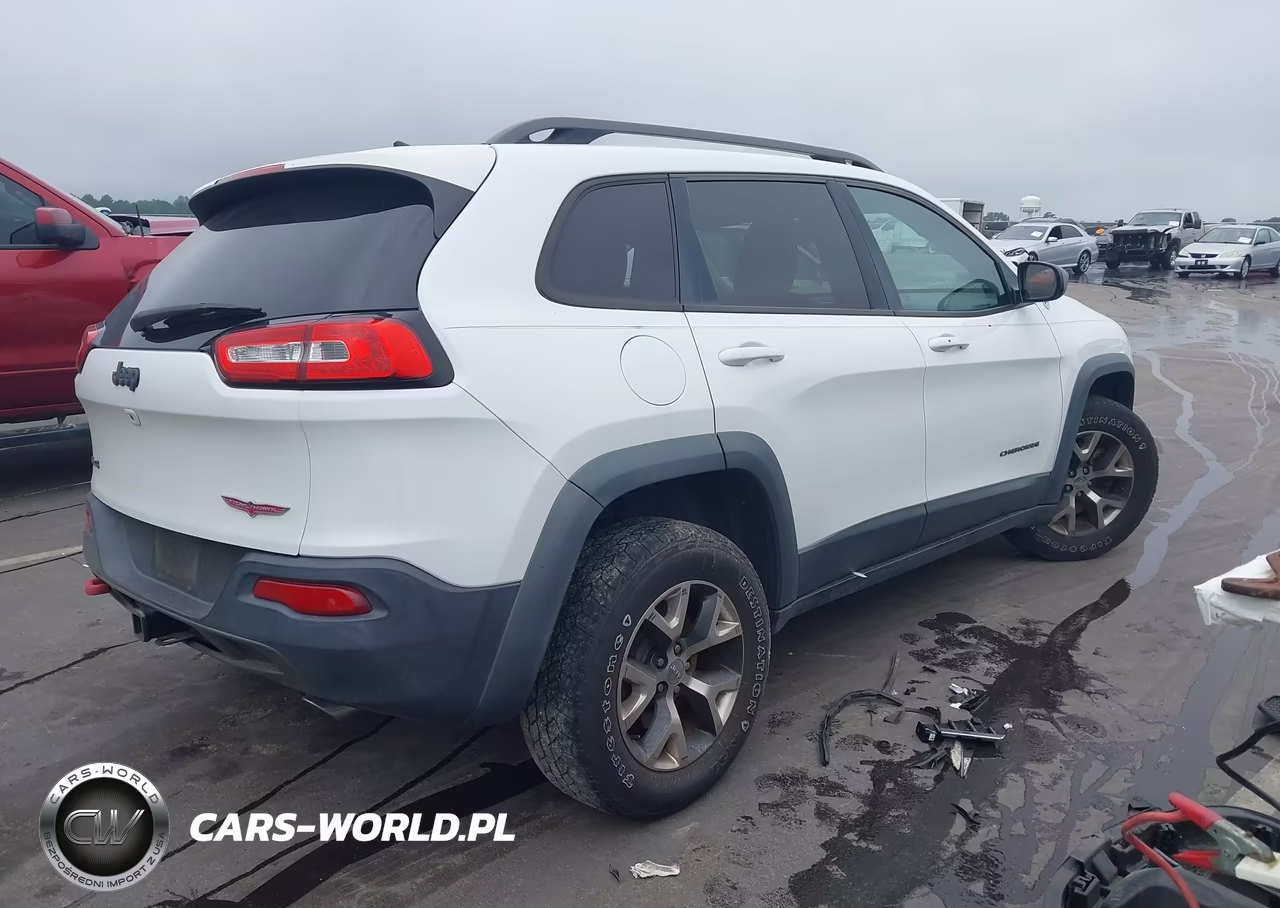 2016 Jeep Cherokee Trailhawk VIN:1C4PJMBS6GW156813 - 4