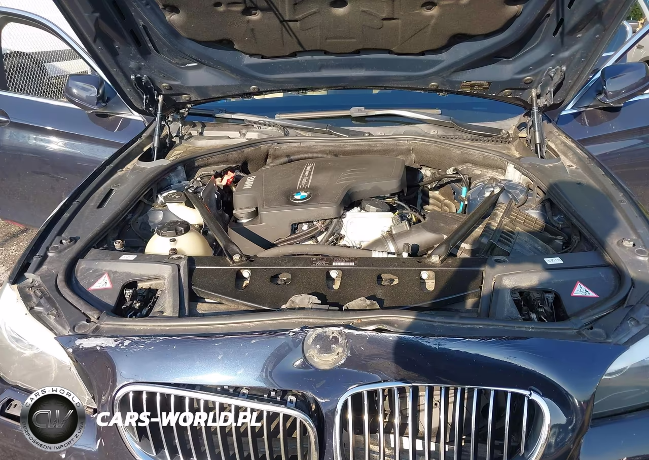 2012 BMW 528I xDrive VIN:WBAXH5C58CDW06653 - 10