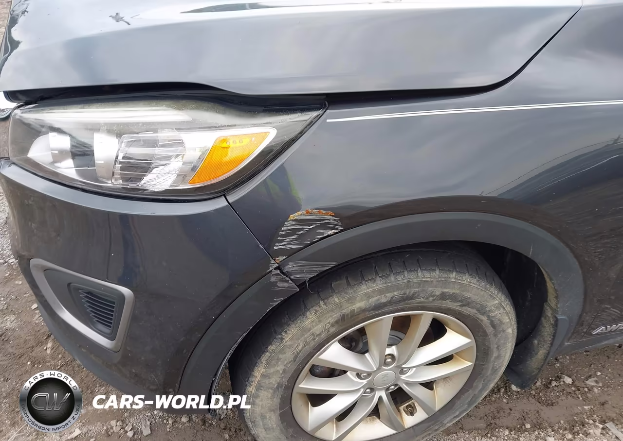 2016 Kia Sorento 2.4L Lx VIN:5XYPGDA37GG110185 - 12