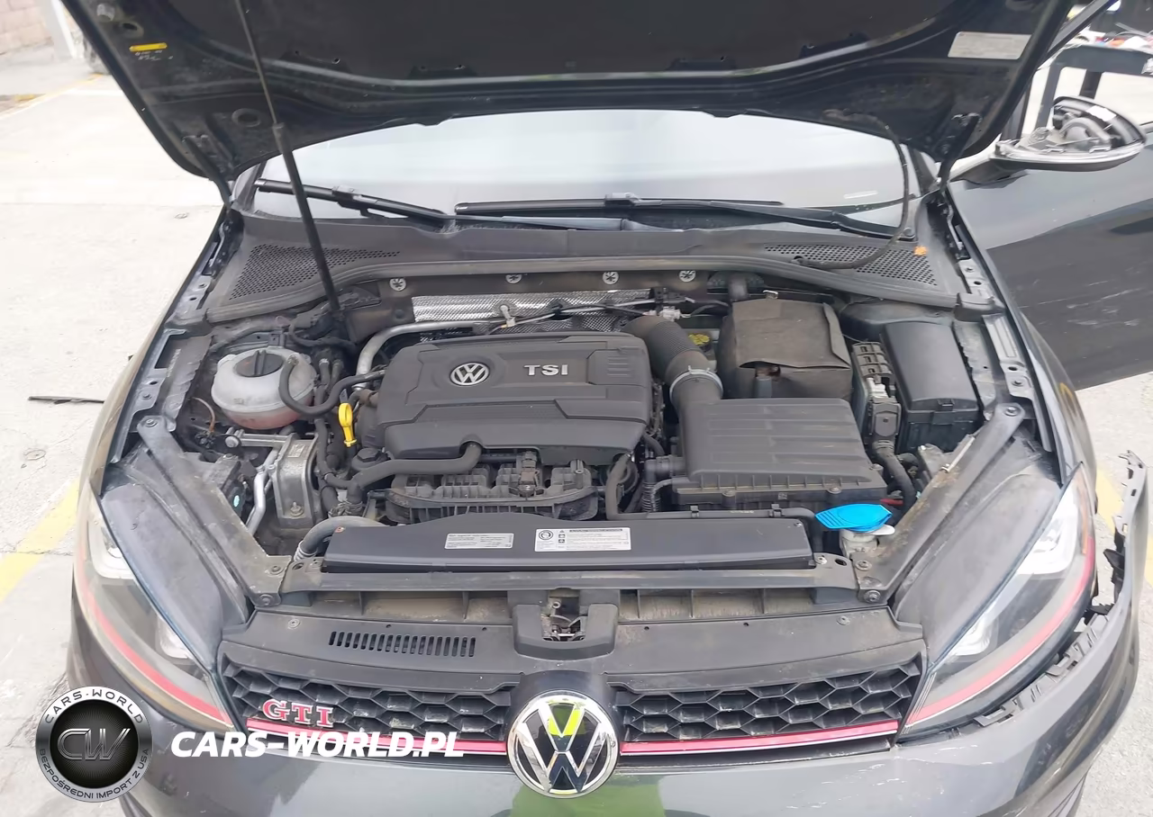 2016 Volkswagen Golf Gti Autobahn W-Performance Package 4-Door VIN:3VW447AU7GM045117 - 10