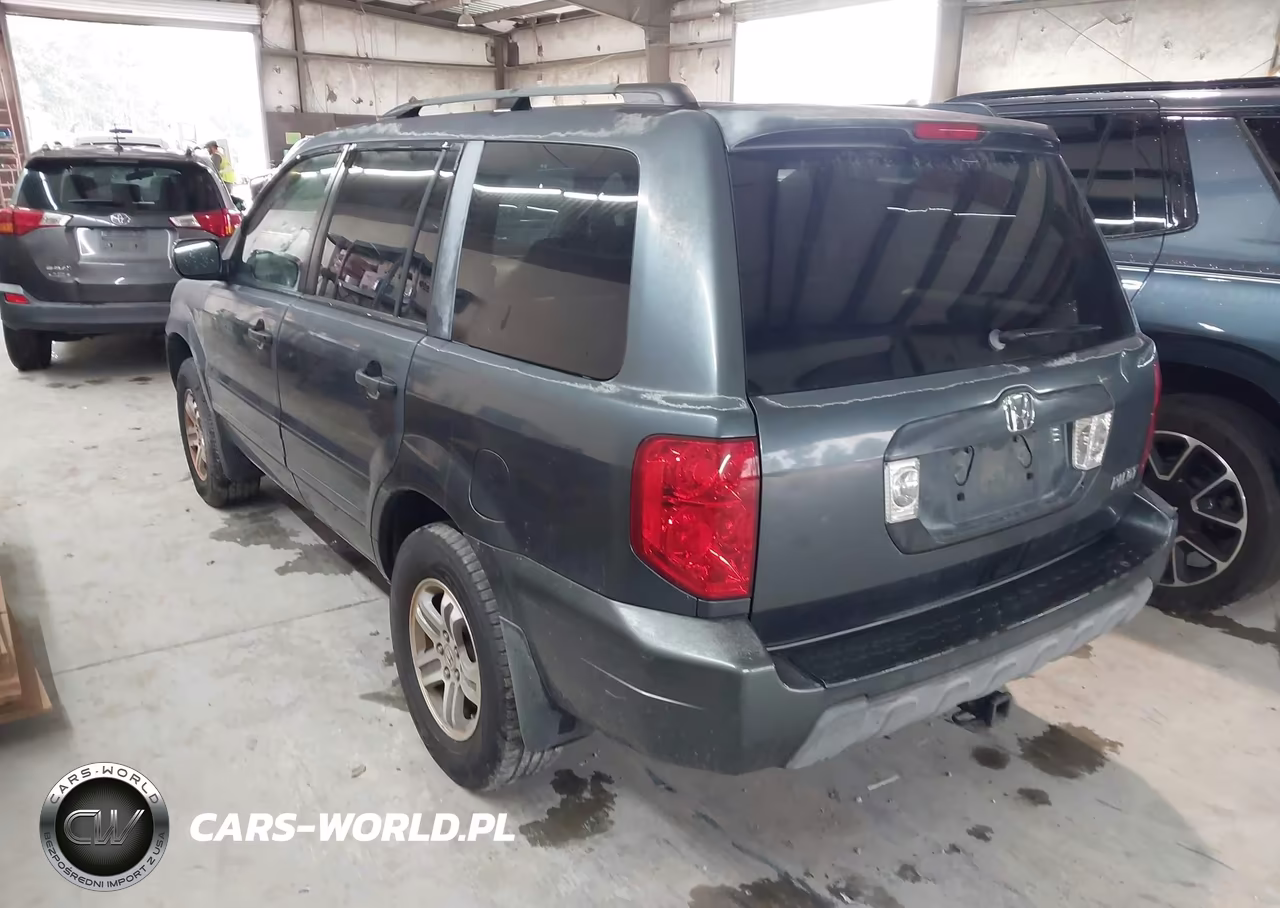 2005 Honda Pilot Ex VIN:5FNYF18465B023337 - 3