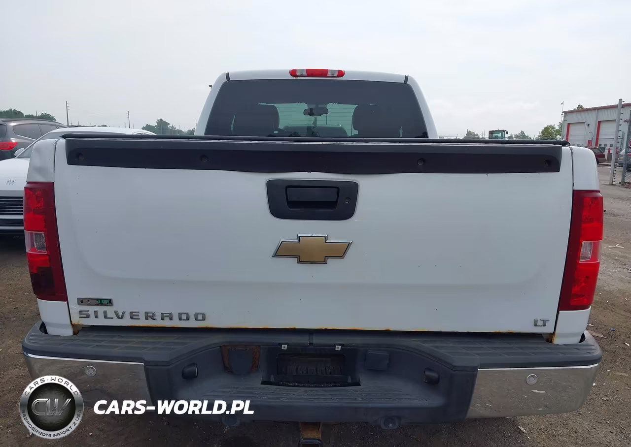 2009 Chevrolet Silverado 1500 Lt VIN:1GCEK29029Z180671 - 16