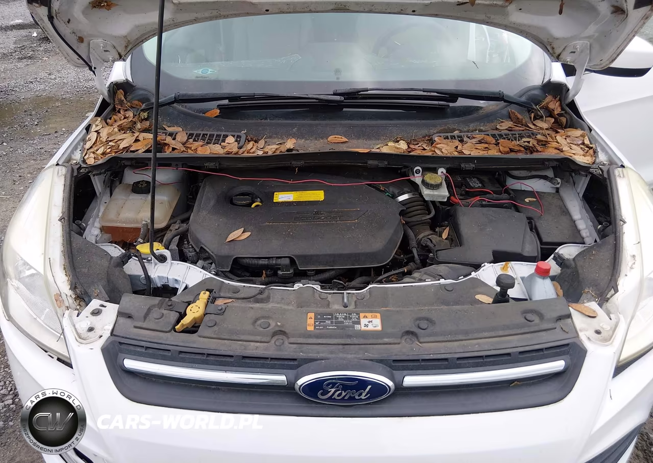 2016 Ford Escape Se VIN:1FMCU0GX4GUC34760 - 10