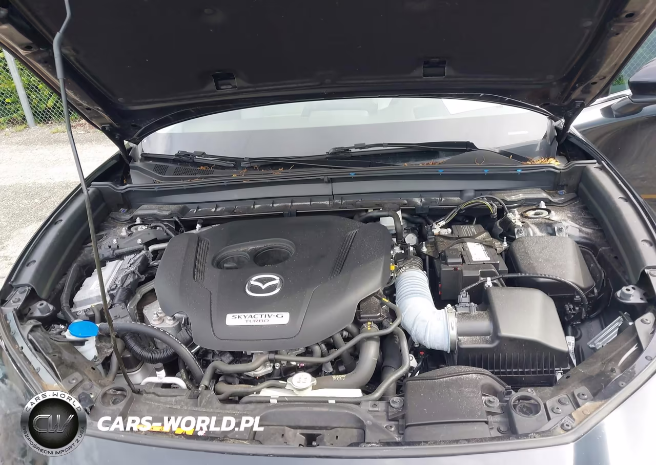 2023 Mazda Cx-30 2.5 Turbo Premium VIN:3MVDMBDY2PM517291 - 10