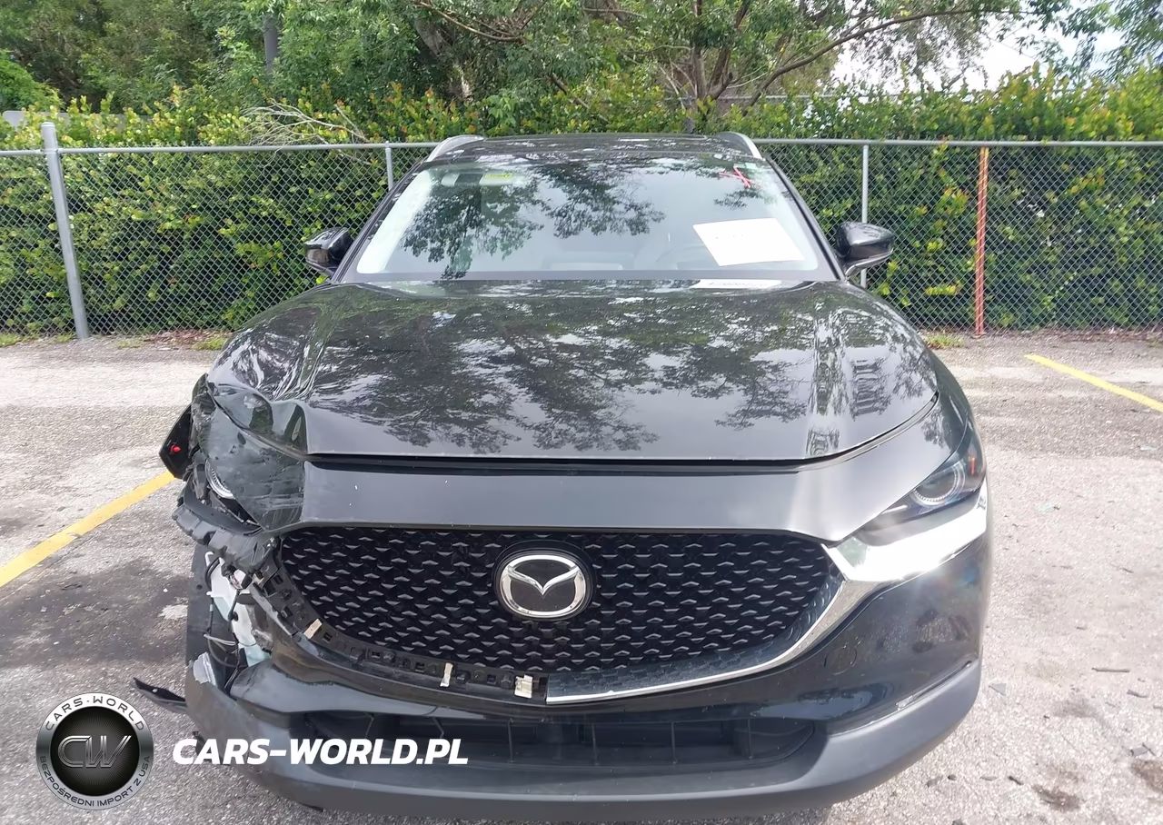 2023 Mazda Cx-30 2.5 Turbo Premium VIN:3MVDMBDY2PM517291 - 12
