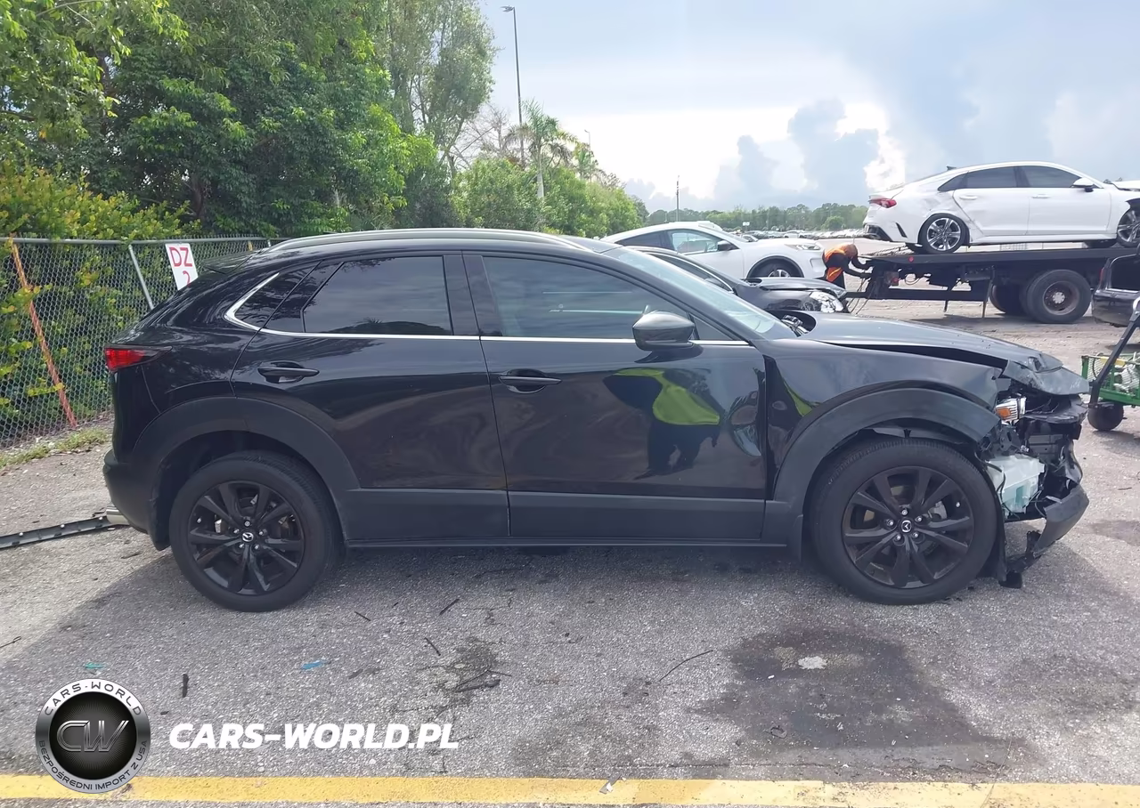 2023 Mazda Cx-30 2.5 Turbo Premium VIN:3MVDMBDY2PM517291 - 13