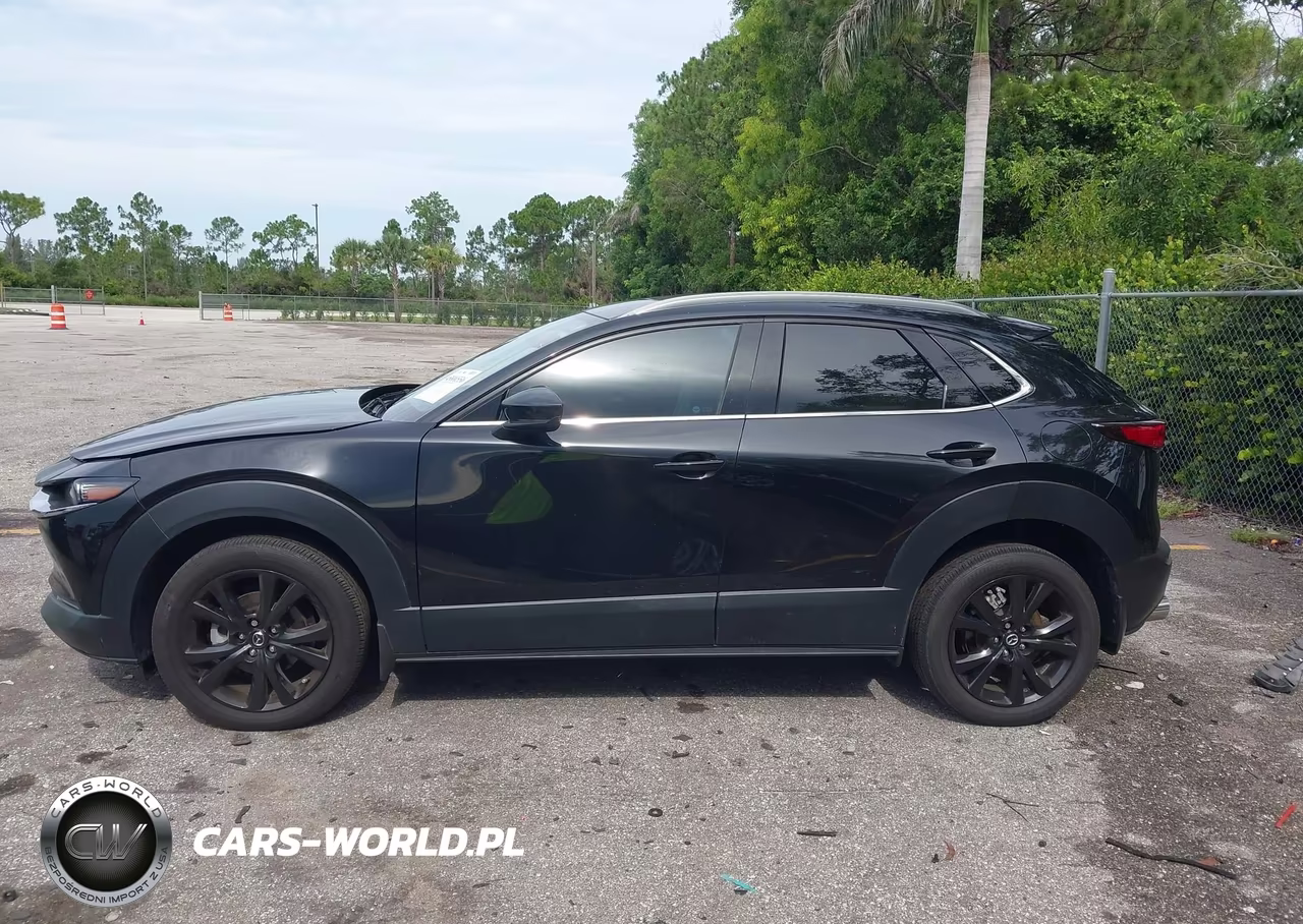 2023 Mazda Cx-30 2.5 Turbo Premium VIN:3MVDMBDY2PM517291 - 14