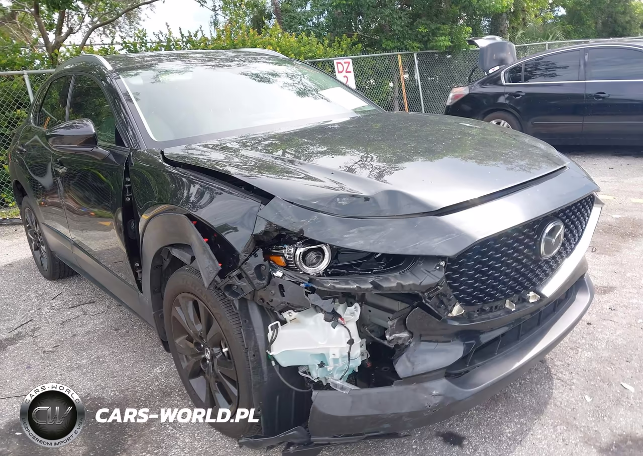 2023 Mazda Cx-30 2.5 Turbo Premium VIN:3MVDMBDY2PM517291 - 6