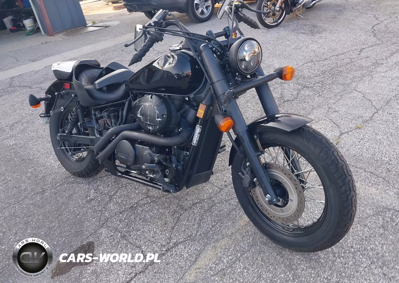 2019 Honda Vt750 C2B